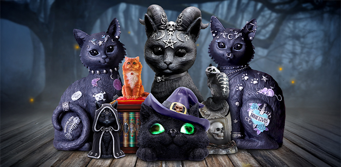 Cats
