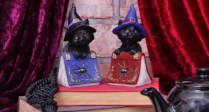 Coven Keepers Two black cats resting on their book of spells.