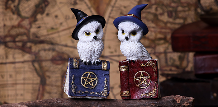 Owls