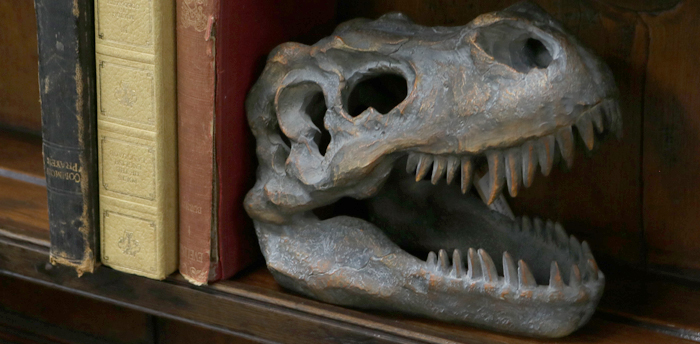 Dinosaurs | Unearthed Resin Fossils
