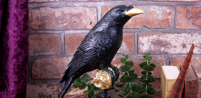 Ravens | The Norse Gods Messengers