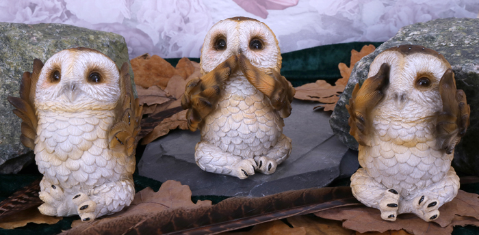 Value Owls