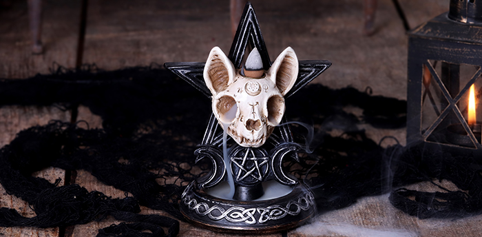Animal Skulls