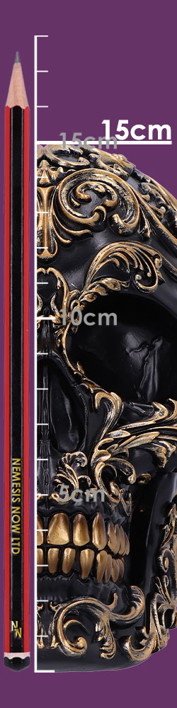 Renaissance 19cm Renaissance 19cm