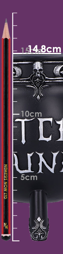 Witch's Fund 16.5cm Witch's Fund 16.5cm