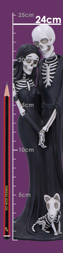 Eternal Companion 24cm Eternal Companion 24cm