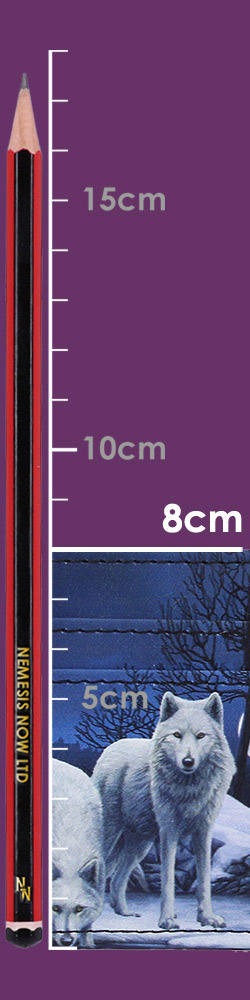 Warriors of Winter Card Holder (LP) 10.5cm Warriors of Winter Card Holder (LP) 10.5cm