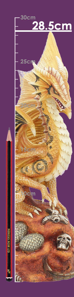 Adult Desert Dragon (AS) 24.5cm Adult Desert Dragon (AS) 24.5cm