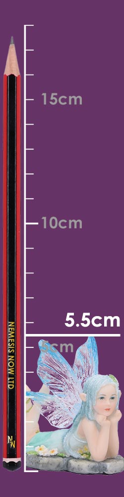 Amelia 6cm