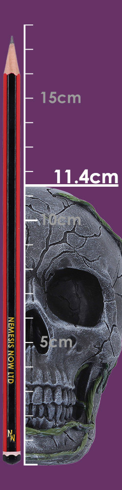 Twilight Bloom 15.6cm Twilight Bloom 15.6cm