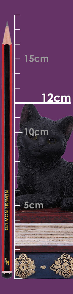 Salems Spells 11.7cm Salems Spells 11.7cm