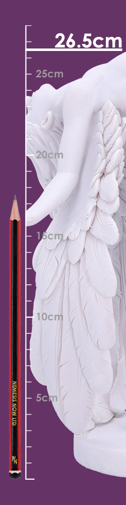 Angels Liberation 26.5cm Angels Liberation 26.5cm