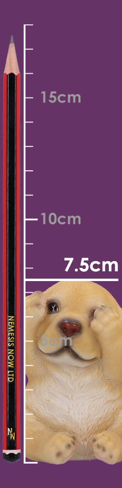 Three Wise Golden Labradors 7.5cm Three Wise Golden Labradors 7.5cm