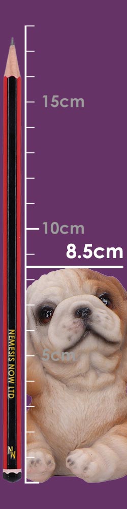Three Wise Bulldogs 7.5cm Three Wise Bulldogs 7.5cm