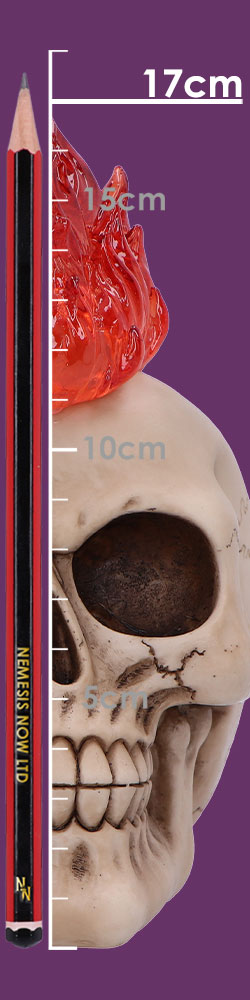 Hot-Headed 19cm Hot-Headed 19cm