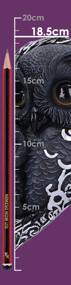 Twilight Trio 19cm Twilight Trio 19cm