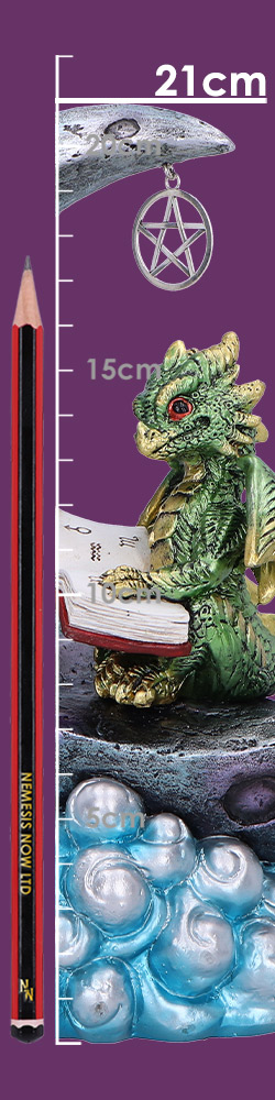 Moonbound Scholar 21cm Moonbound Scholar 21cm