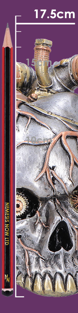 Cardiac Cranium (Silver) Cardiac Cranium (Silver)
