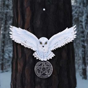 Owl Talisman 20.5cm