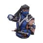 Mortal Kombat Sub-Zero Bust 29cm Gaming Out Of Stock