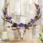 Antlers of Eden 45cm Animal Skulls Out Of Stock