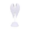 Angel Wings 26cm Angels Last Chance to Buy