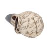 Edgar's Raven Skull 21cm Animal Skulls Father's Day