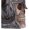 Viking Skull Tankard 19cm Skulls Father's Day
