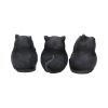 Three Wise Fat Cats 8.5cm Cats Last Chance to Buy