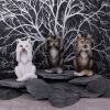 Three Wise Wolves 10cm Wolves Out Of Stock