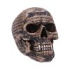 Draculas Tale 18.5cm Skulls Halloween RRP Above 20