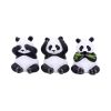 Three Wise Pandas 8.5cm Animals Last Chance to Buy