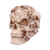 Skull of Skulls (JR) 18cm Skulls Sale Items