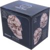 Skull of Skulls (JR) 18cm Skulls Sale Items