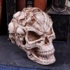 Skull of Skulls (JR) 18cm Skulls Sale Items