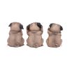 Three Wise Pugs 8.5cm Dogs Gift Shop Essentials Pocket Money