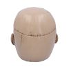 Iron Maiden The Trooper Box 18cm Band Licenses Last Chance to Buy