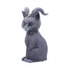 Pawzuph 26.5cm (Large) Cats Top 200 None Licensed