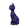 Mystic Kitty Purple 26cm Cats Last Chance to Buy