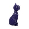 Mystic Kitty Purple 26cm Cats Last Chance to Buy