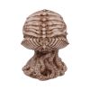 Cthulhu Skull (JR) 20cm Horror Sale Items