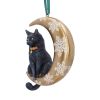 Moon Cat Hanging Ornament (LP) 9cm Cats Sale Items