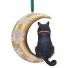 Moon Cat Hanging Ornament (LP) 9cm Cats Sale Items