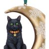 Moon Cat Hanging Ornament (LP) 9cm Cats Sale Items