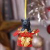 Present Cat Hanging Ornament (LP) 9cm Cats Sale Items