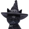 Purrah 30cm (Large) Cats Top 200 None Licensed