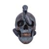 Serpentine Fate 19cm Skulls Sale Items