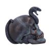 Serpentine Fate 19cm Skulls Sale Items