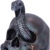 Serpentine Fate 19cm Skulls Sale Items