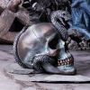 Serpentine Fate 19cm Skulls Sale Items
